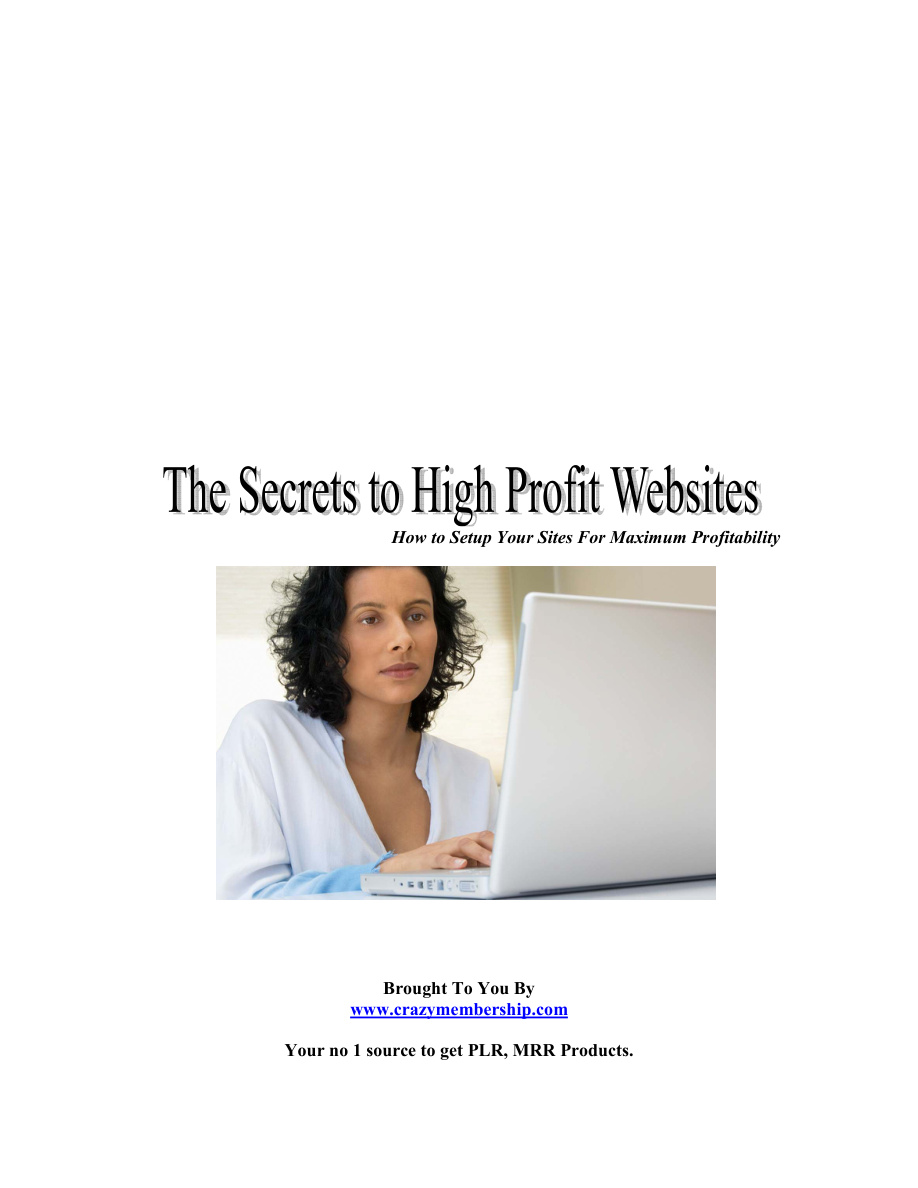 The Secrets to High-Profit Websites PDF Download