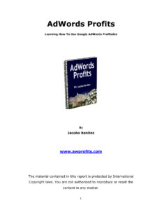 6888a3c6e78a4 adwords profits learning how to use google adwords profitable Kitap Kapağı