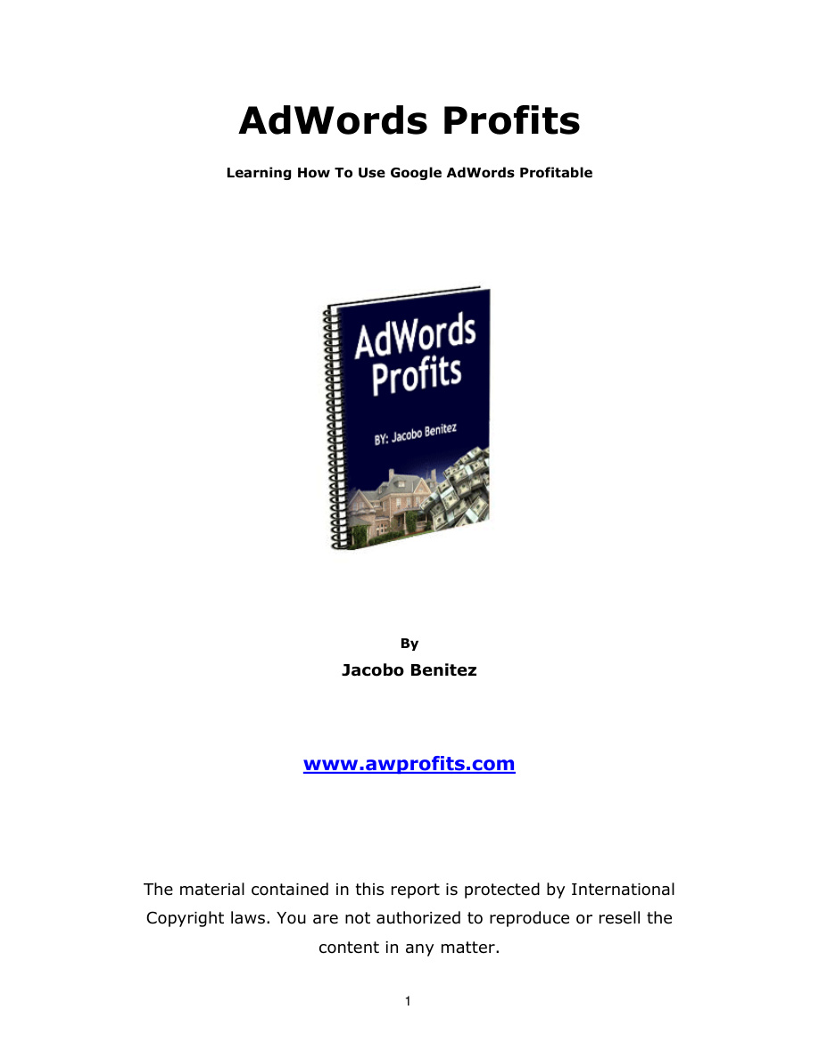Adwords Profits PDF Download