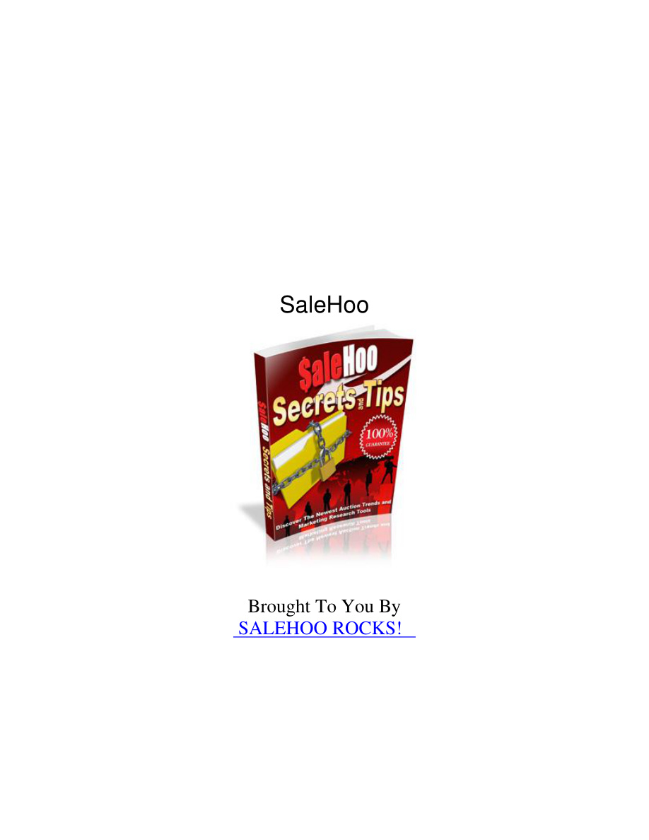 Salehoo Secrets PDF Download