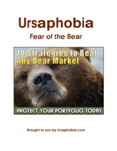68919aed63ffd ursaphobia fear of the bear market 10 strategies to beat any bear market Kitap Kapağı