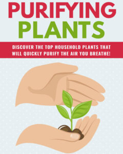 6898c8c6defce purifying plants discover the top of household plant that will quickly purify air your breathe Kitap Kapağı