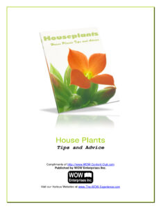 68a32d3fb48ca house plants tips and advice Kitap Kapağı