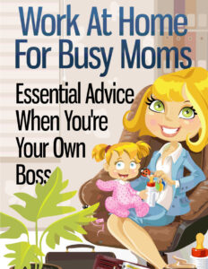 68a499ba45b8e work at home for busy moms essential advice when are your own boss Kitap Kapağı