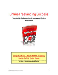 68a4aca3c662e online freelancing success your guide to becoming a successful online freelancer Kitap Kapağı