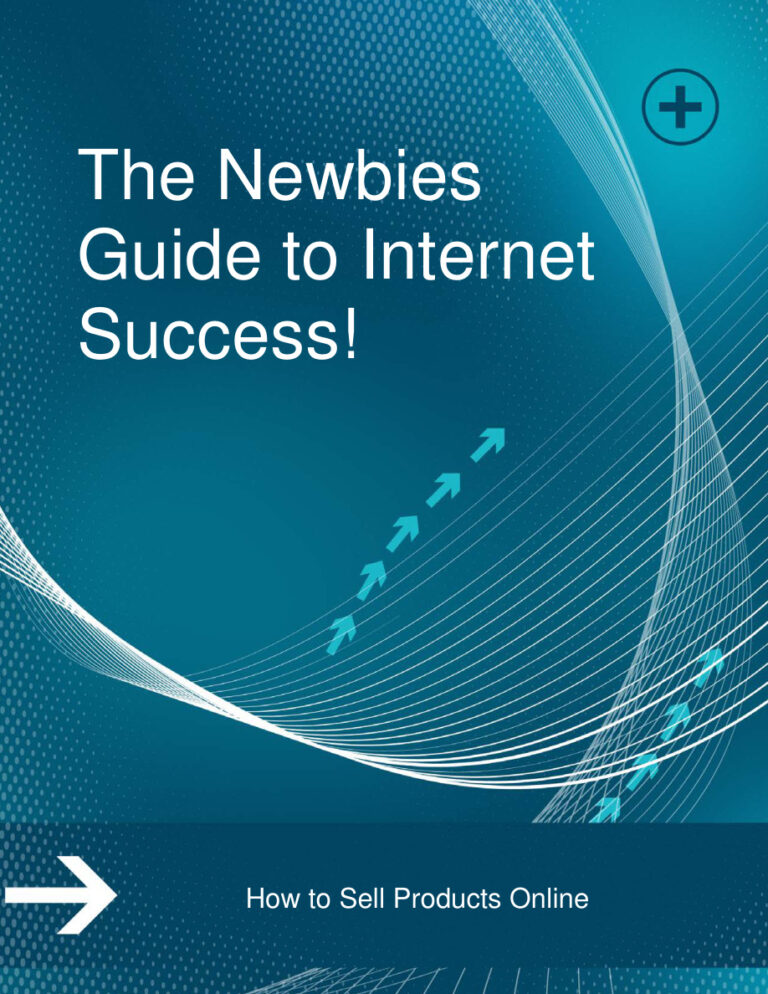 The Newbie’s Guide to Internet Success PDF Download – Unknown Author