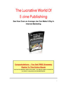 68a7111c67be9 the lucrative world of e zine publishing see how even an average joe can make it big in internet marketing Kitap Kapağı