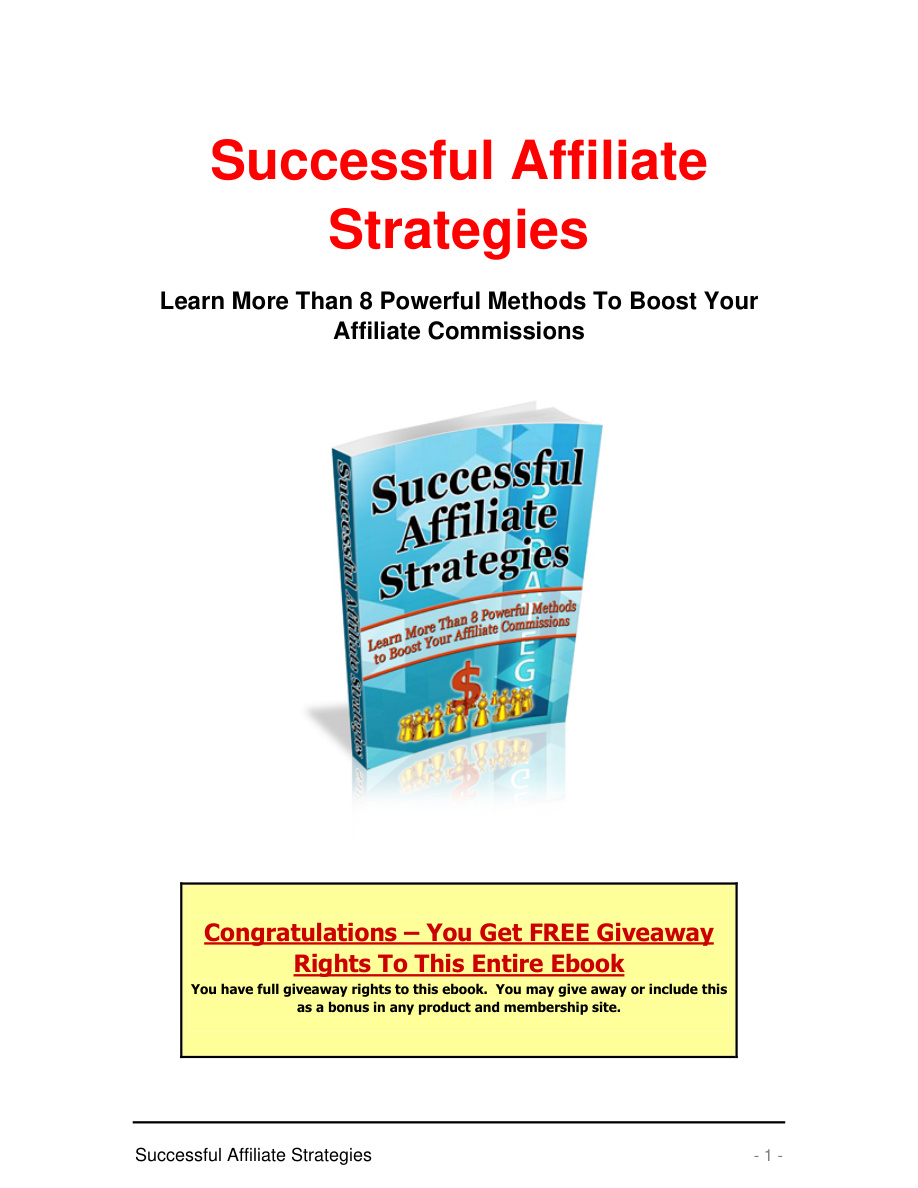 Successful Affiliate Strategies PDF Download
