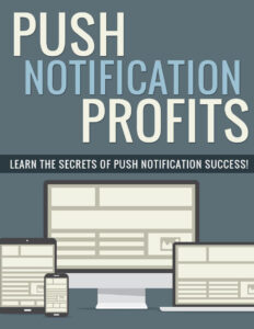 68a888b31d85c push notification profits learn the secrets of push notification success Kitap Kapağı