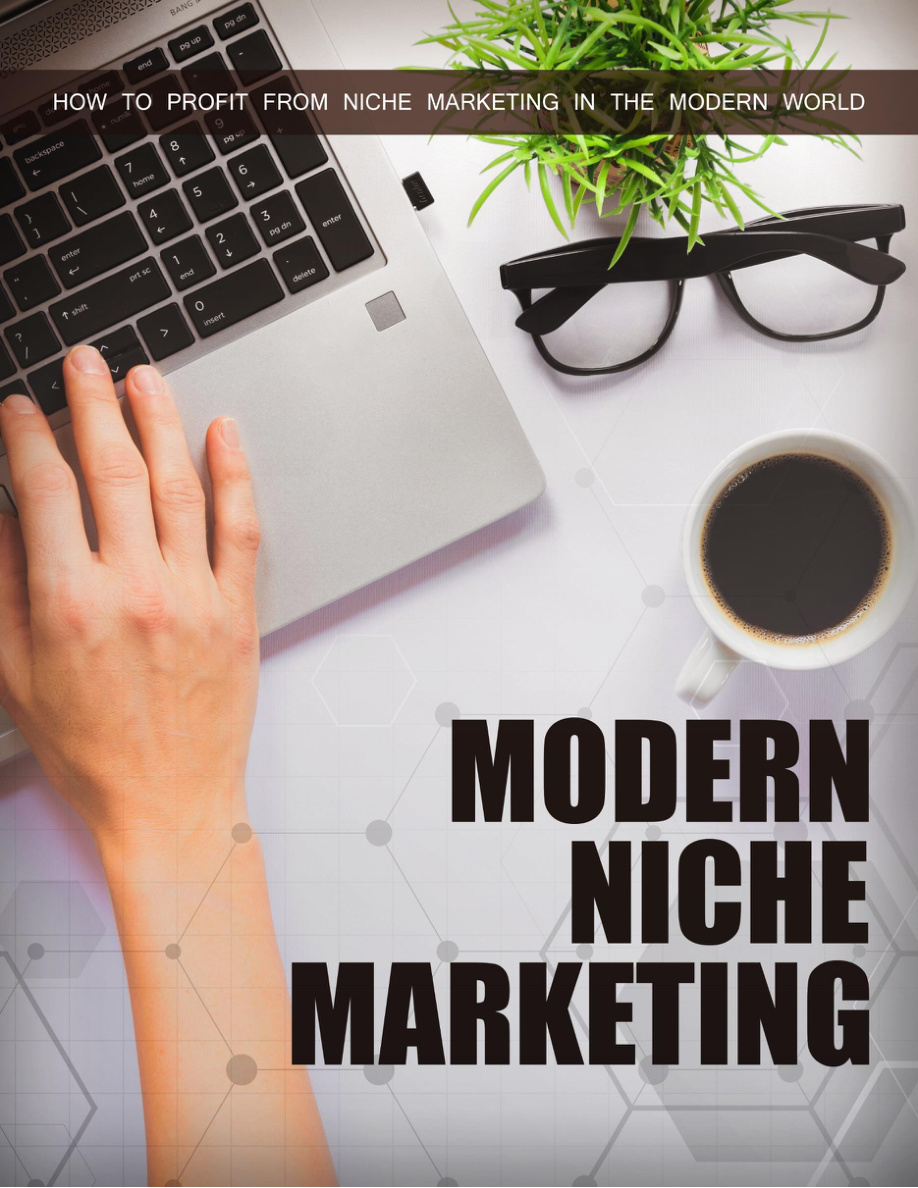 Modern Niche Marketing PDF Download