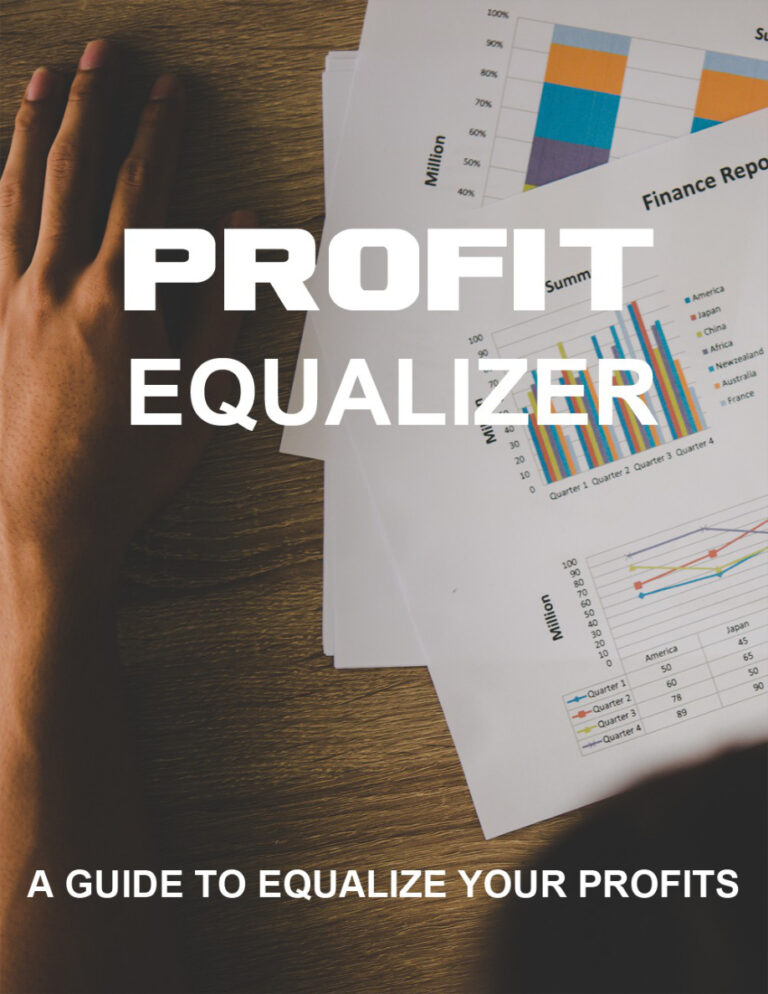 Profit Equalizer PDF Download – Unknown Author