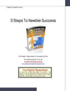 68bb1449b76e1 3 steps to newbie success the simple 3 step system to succeeding online Kitap Kapağı