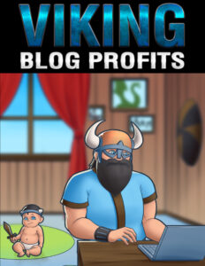 68c40700d4583 viking blog profits Kitap Kapağı