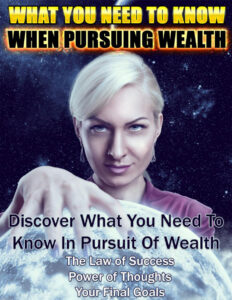 68c853d668fd9 pursuing wealth what you need to know when pursuing wealth Kitap Kapağı