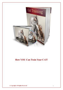 68cae5fe100eb cat training how you can train your cat Kitap Kapağı