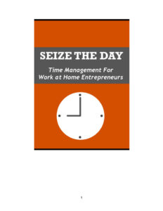 68cfac90bf27e seize the day time management for work at home entrepreneurs Kitap Kapağı