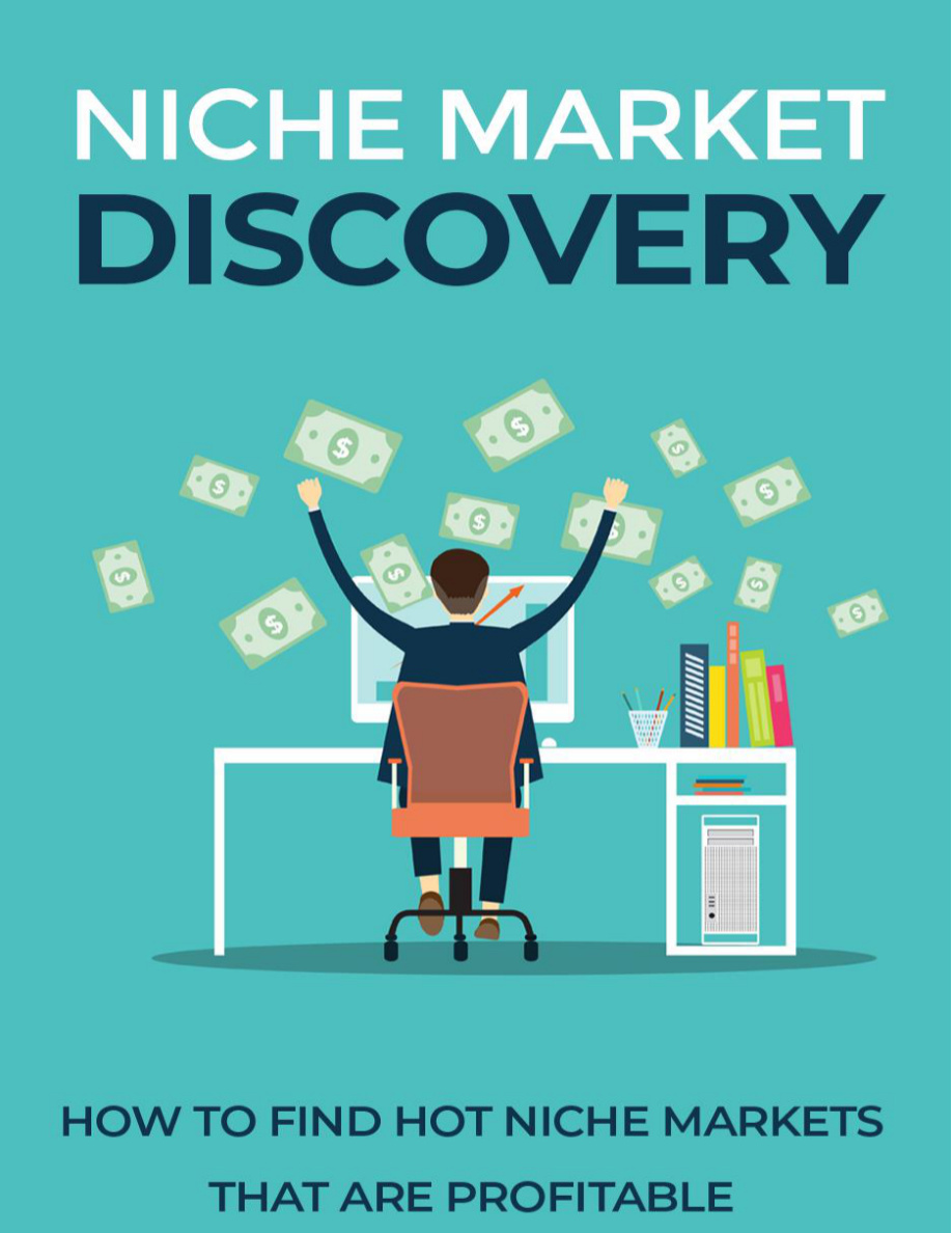 Niche Market Discovery PDF Download