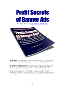 68f2ad9f6459e profit secrets of banner ads learn to boost your site traffic using this power system Kitap Kapağı