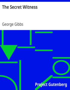6931def89f9ff the secret witness by george gibbs Kitap Kapağı