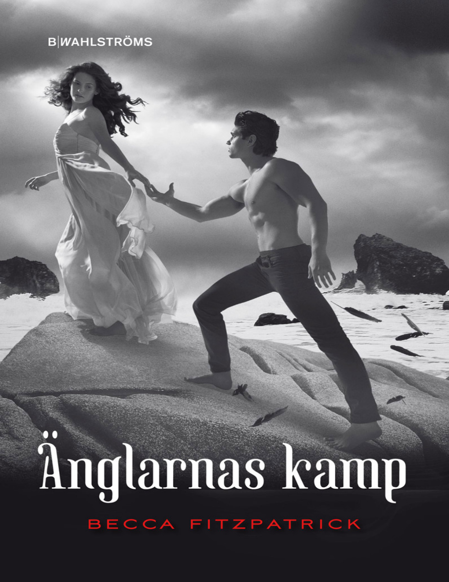 Änglarnas kamp PDF Download