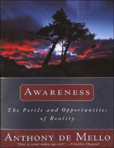 Awareness The Perils and Opportunities of Reality by Anthony de Kitap Kapağı