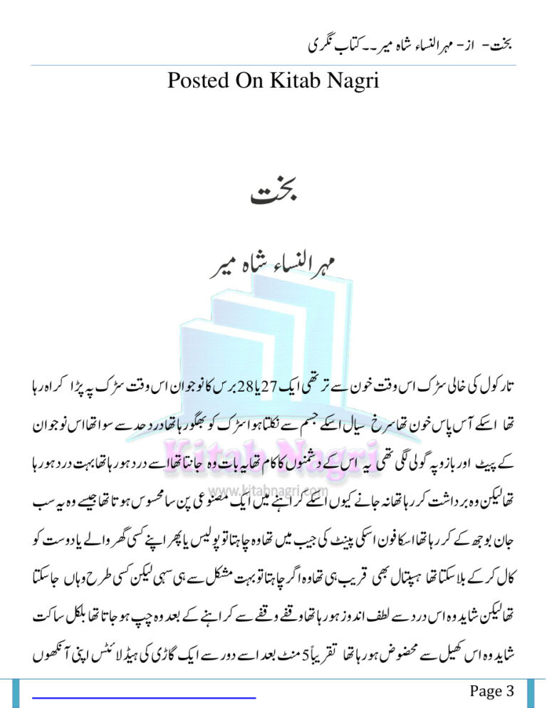 Bakht بخت Urdu Edition Mehrunnisa Shahmeer Kitap Kapağı