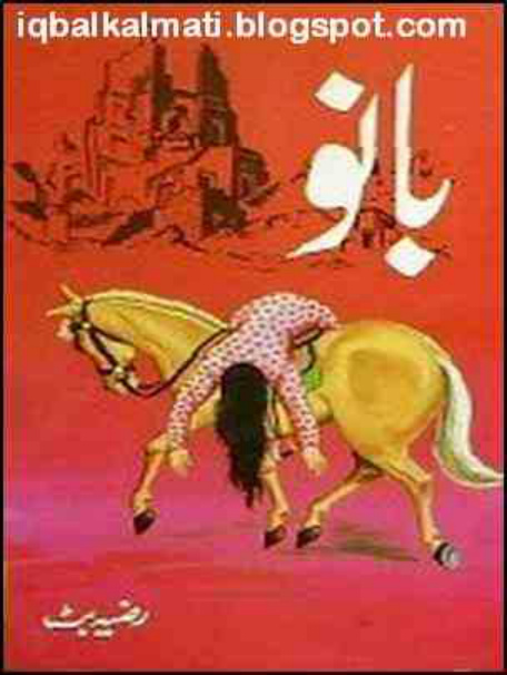 Bano بانو Razia Butt Kitap Kapağı