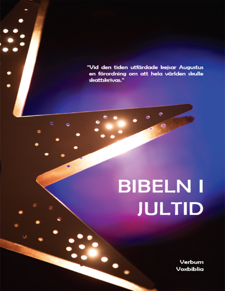 Bibeln i jultid PDF Download