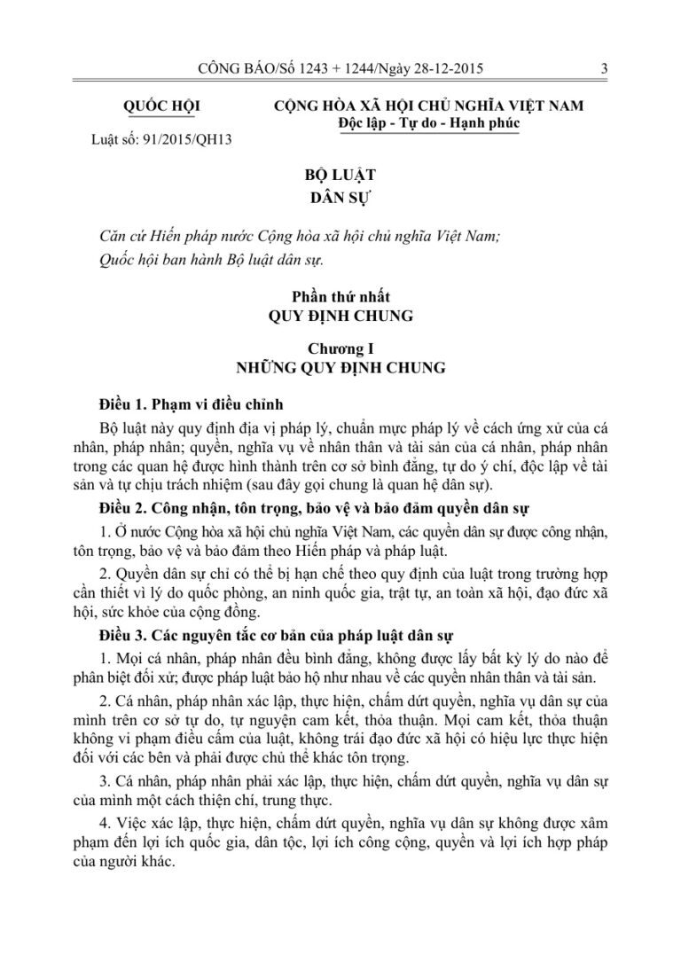 Bo luat dan su Viet Nam Vietnamese Edition Quoc Hoi Viet Nam Kitap Kapağı