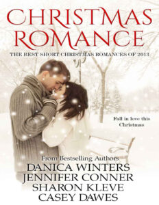 Christmas Romance Danica Winters Kitap Kapağı