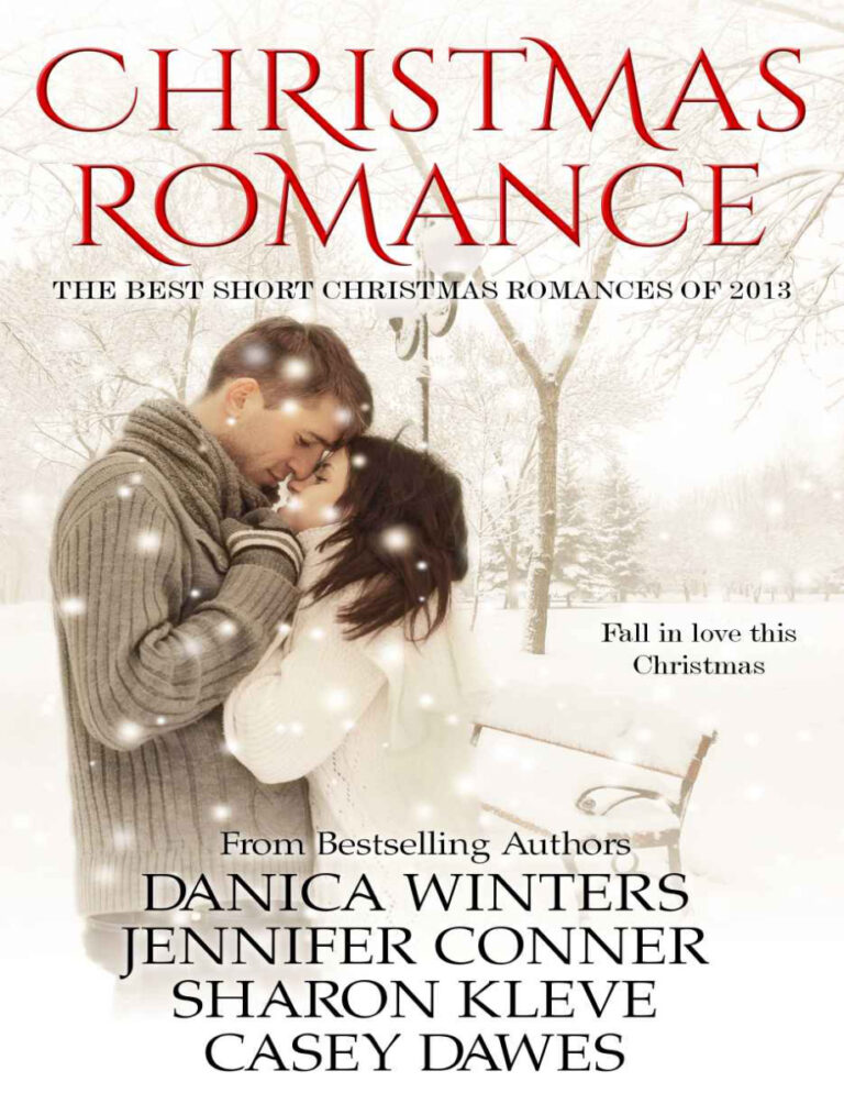 Christmas Romance Danica Winters Kitap Kapağı