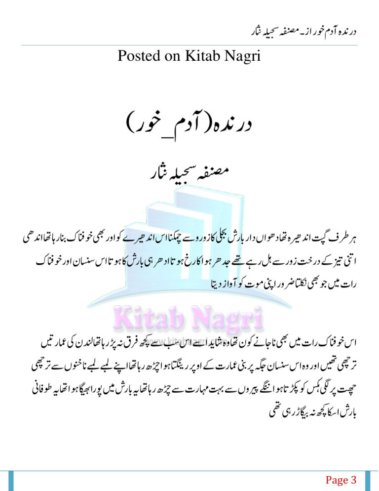 Darinda Adam دریندا آدم Urdu Edition Sajila Nisar Kitap Kapağı