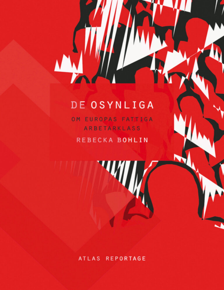 De osynliga Bohlin Rebecka Kitap Kapağı