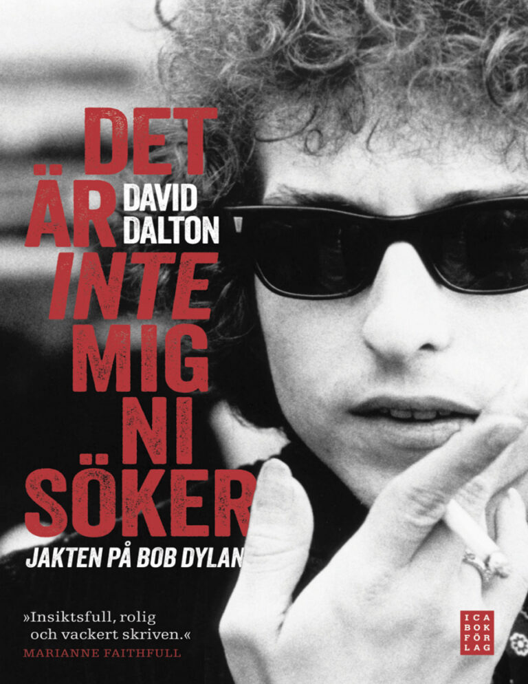 Det ar inte mig ni soker Jakten pa Bob Dylan Dalton David Kitap Kapağı