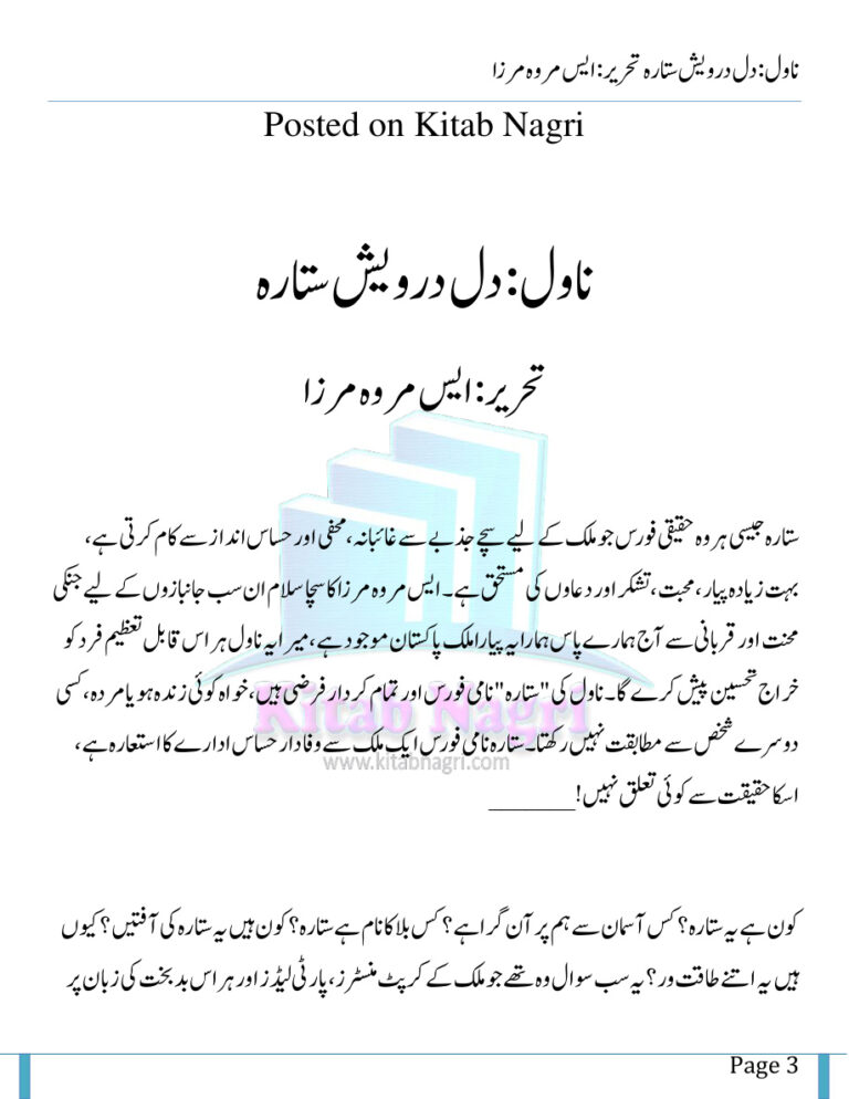 Dil Darwaish Sitara دل درویش کا ستارہ Urdu Edition S Merwa Mirza Kitap Kapağı