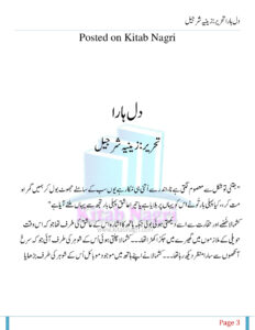 Dil Hara دل ہرا۔ Urdu Edition Zeenia Sharjeel Kitap Kapağı