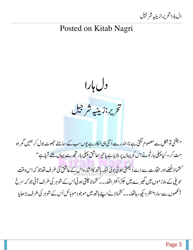 Dil Hara دل ہرا۔ Urdu Edition Zeenia Sharjeel Kitap Kapağı