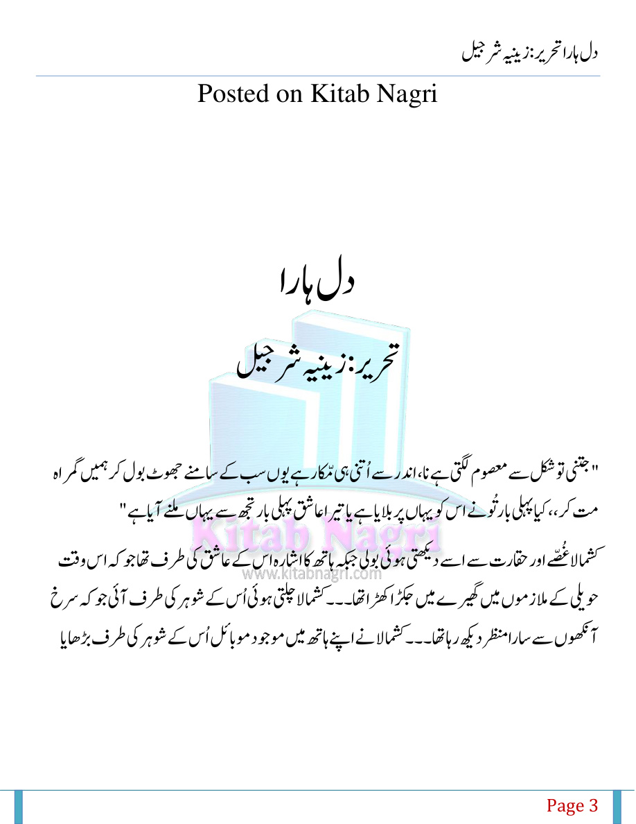 Dil Hara PDF Download