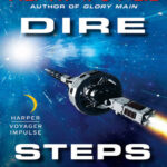 Dire Steps Henry V ONeil Kitap Kapağı