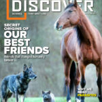 Discover September October 2024 Kitap Kapağı