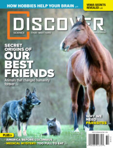 Discover September October 2024 Kitap Kapağı