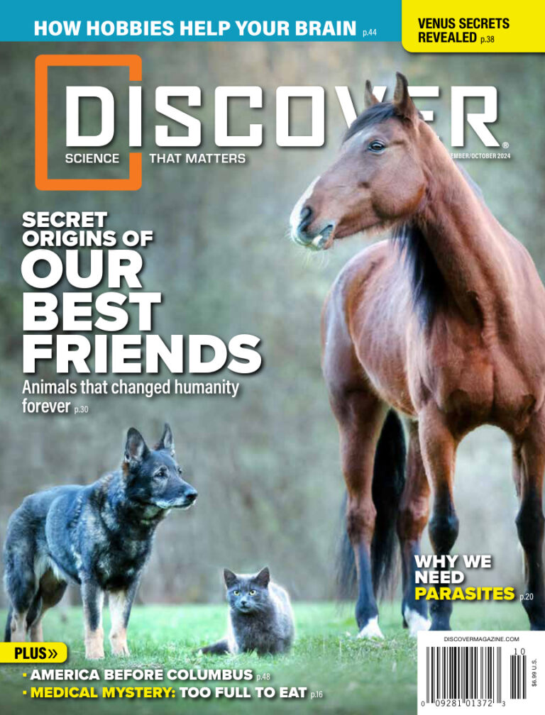 Discover September October 2024 PDF – Discover Magazine