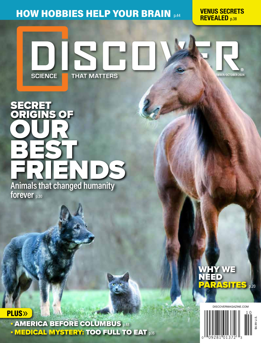 Discover September October 2024
