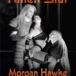 Fallen Star Morgan Hawke Kitap Kapağı
