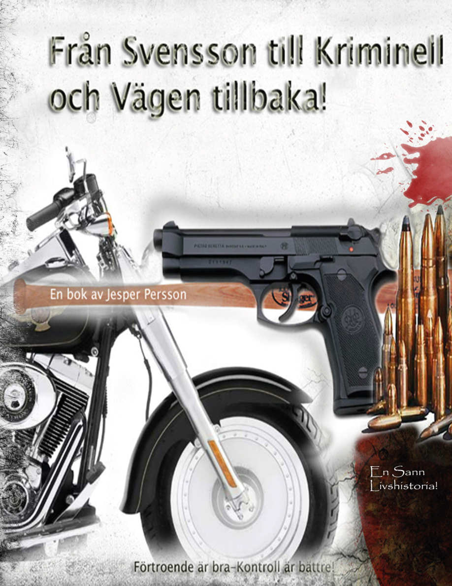 Från Svensson till kriminell och vägen tillbaka PDF Download
