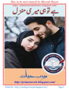 Hay Tu He Meri Manzil ارے تم، وہ میری منزل ہے۔ Urdu Edition Meerab Hayat Kitap Kapağı