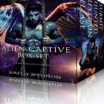 Hunted By Treaty Kayla Stonor Kitap Kapağı