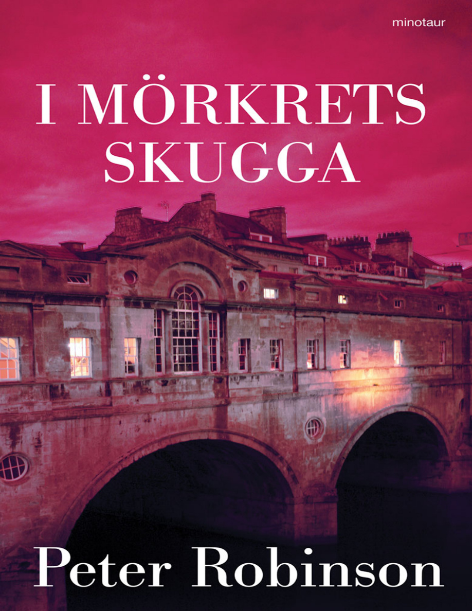 I mörkrets skugga PDF Download