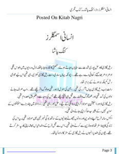Insani Smugglers پاگل سمگلرز Urdu Edition King Pasha Kitap Kapağı