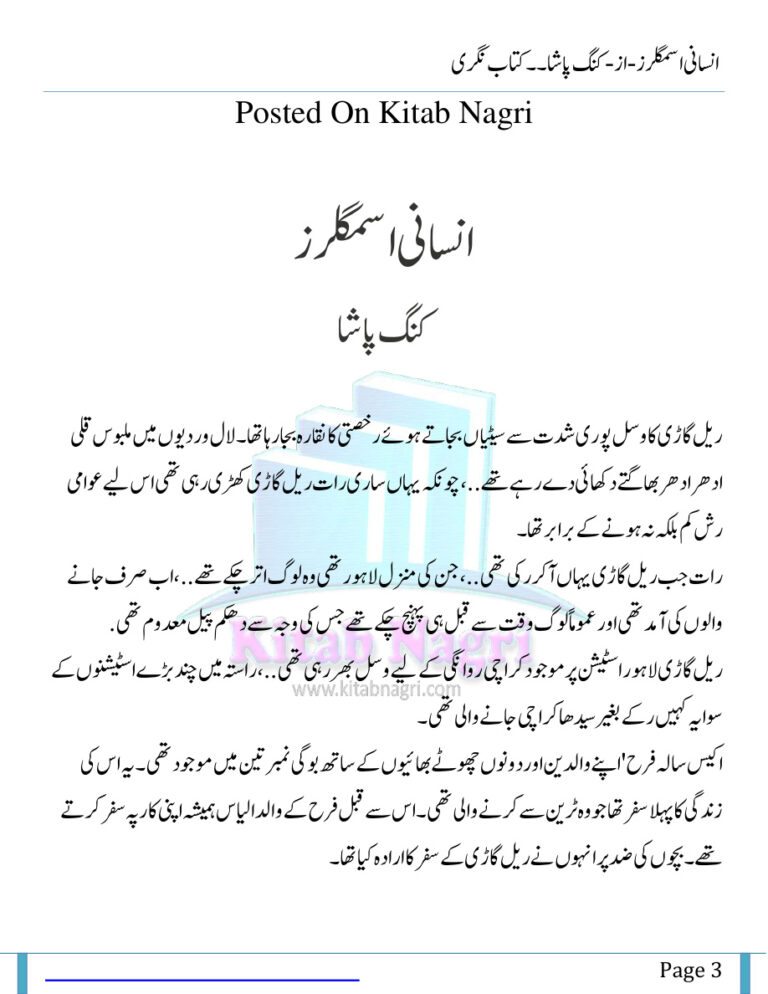 Insani Smugglers پاگل سمگلرز Urdu Edition King Pasha Kitap Kapağı